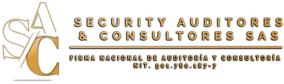 Security Auditores And Consultores Firma De Revisoría Fiscal